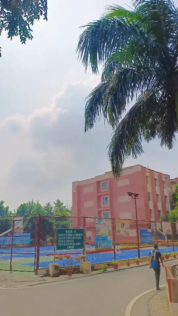 IIMT University Meerut Grounds and sports photo 1